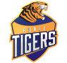 Hubli Tigers team logo